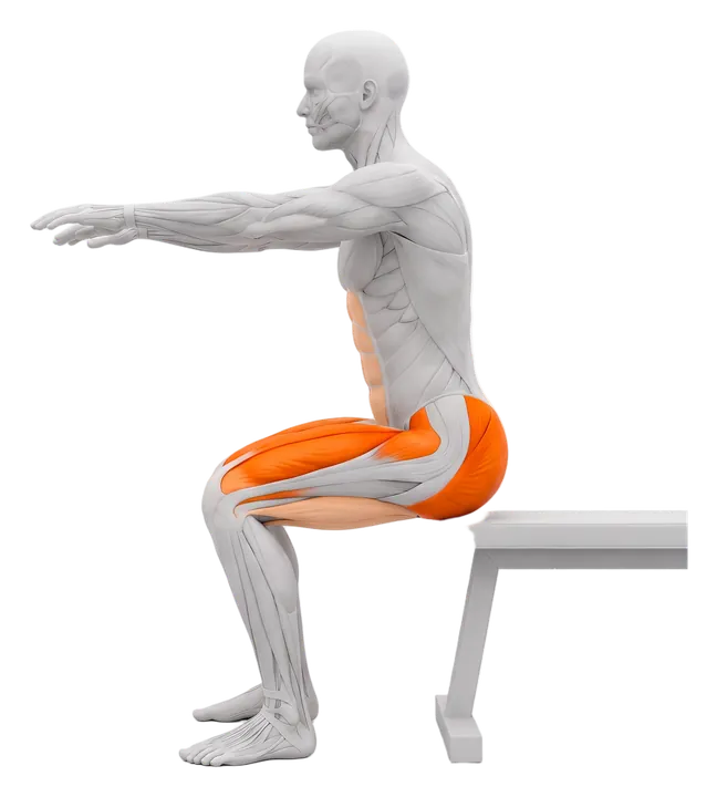 Box squat to bench: quads and glutes highlighted
