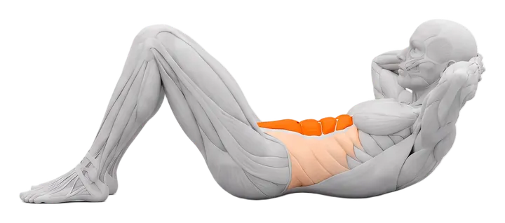 Crunch: abs highlighted