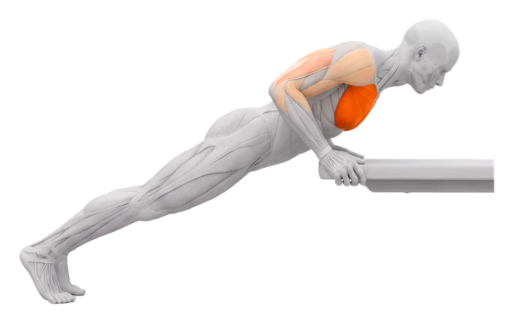 Incline push-up: chest highlighted