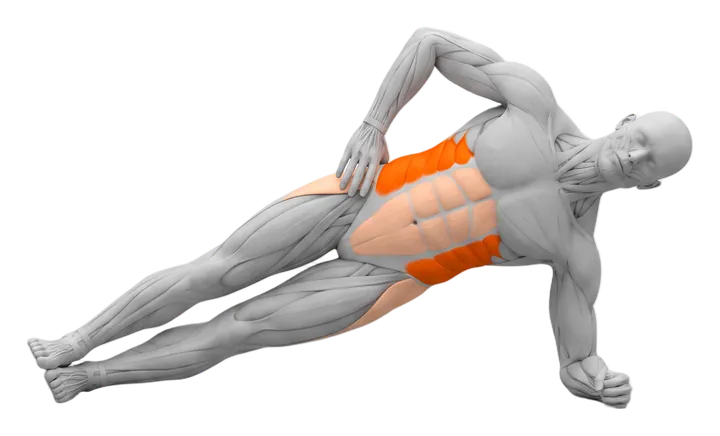 Side plank: obliques highlighted
