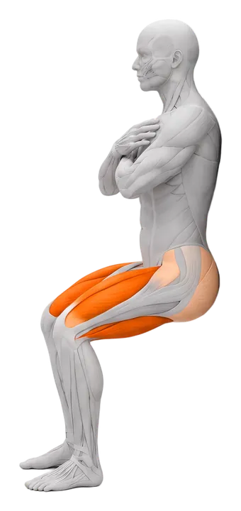 Wall sit: quads highlighted